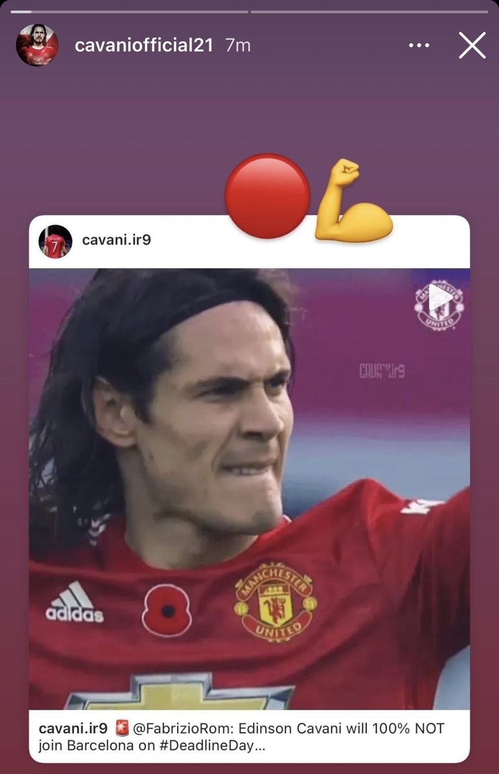 cavani 2