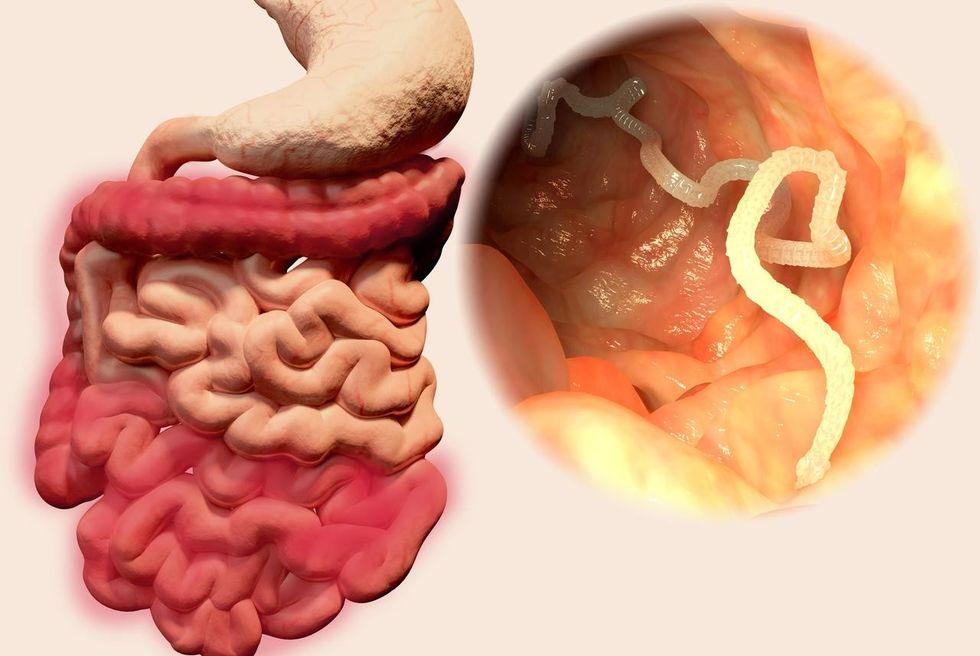 cc52f400d10e755a9ea1