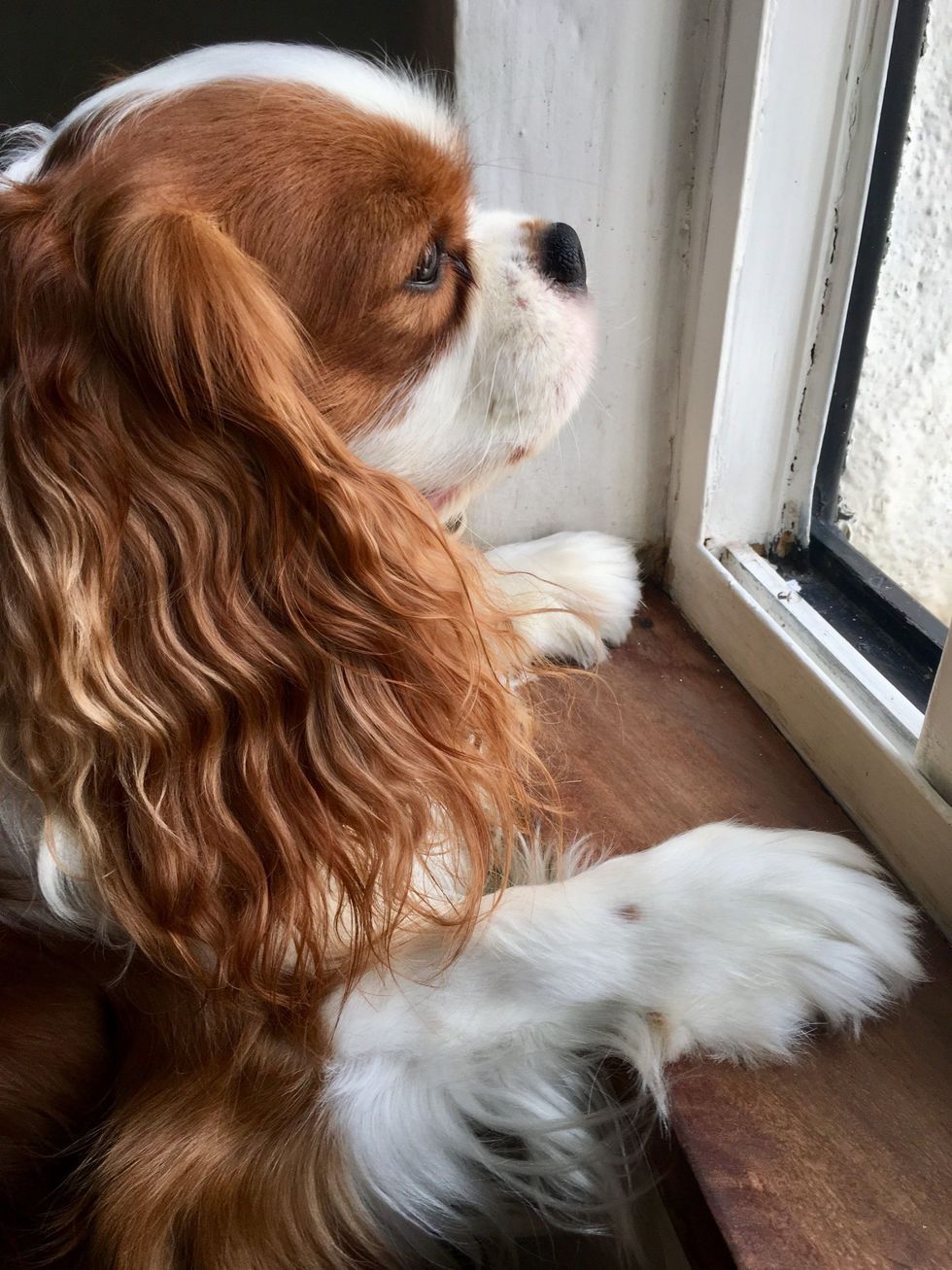 ccf6d81270ab261c0aca2a41ec65d539 scaled