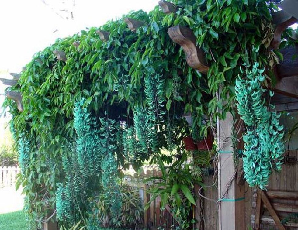 cefb4f77b062753820229c7c4b542c58