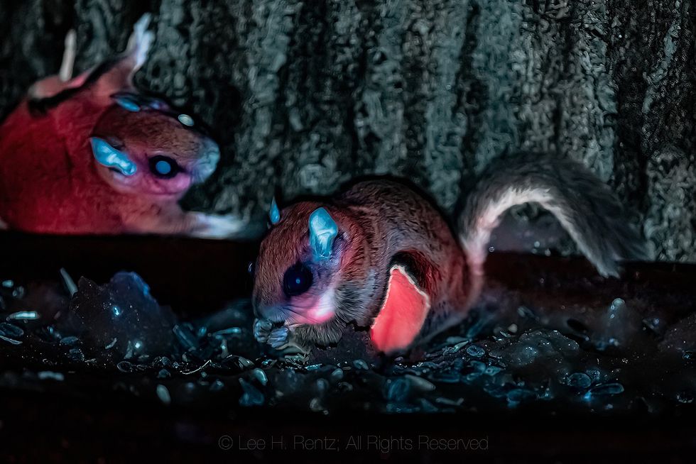 central mi jan 2022 44 b 1