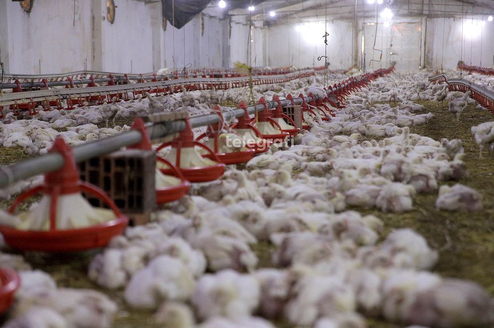 cf3e6d1d e13e 4152 95be 81eaef43ef1c