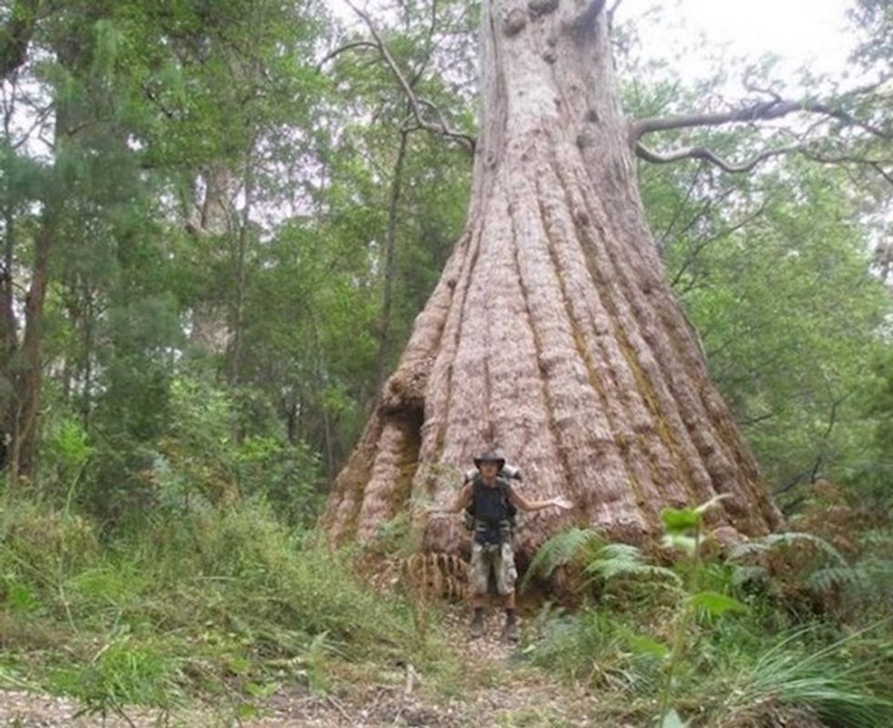 cf4a620f fae4 4684 ba5b 4b5a2bda7169