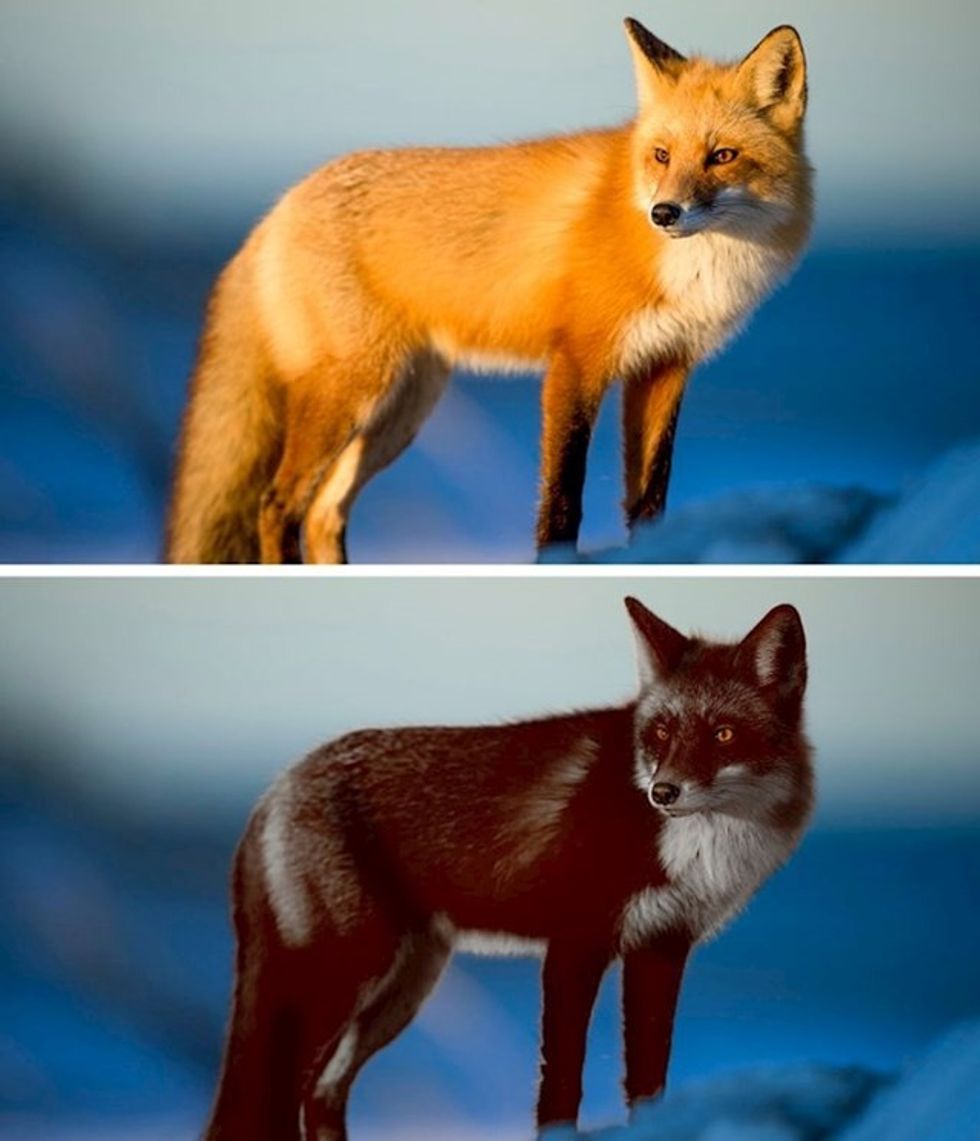 cf6030b8 bb09 452d bf07 80a19791506e