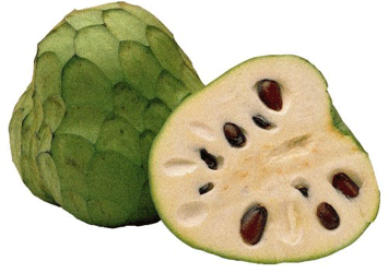 cherimoya2