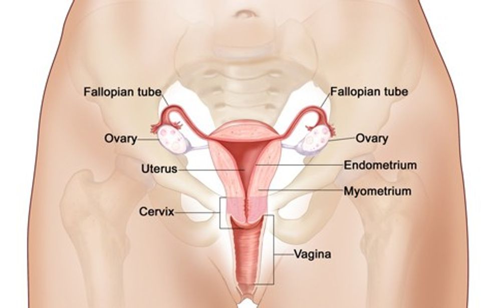 chlamydia infertiliteit 1(1)