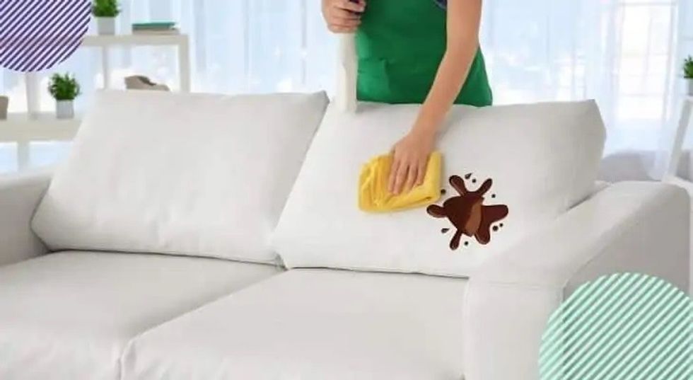 chocolate couch