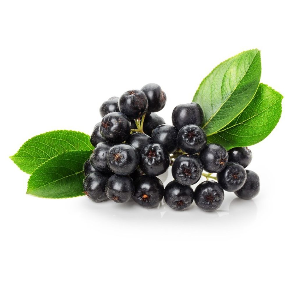 chokeberry seeds aronia melanocarpa