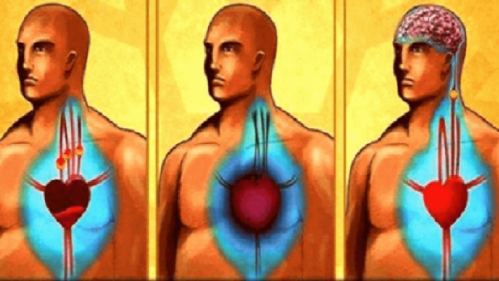 Clean Your Arteries And Prevent Heart Attack And Stroke Only With One Glass Of This Powerful Drink 1