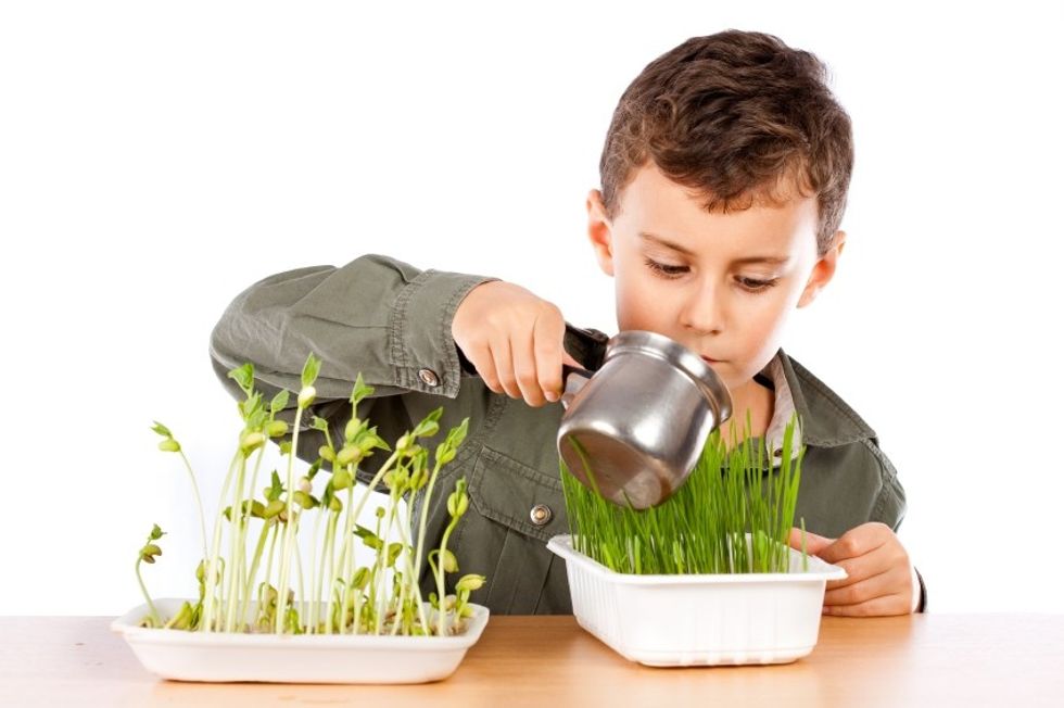 Close-up portrait of a cute kid at a practical biology lesson