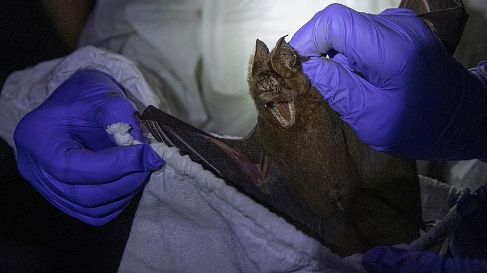 cmsv2 0c605180 a074 5570 9901 ce1d6aaf5e66 4884356