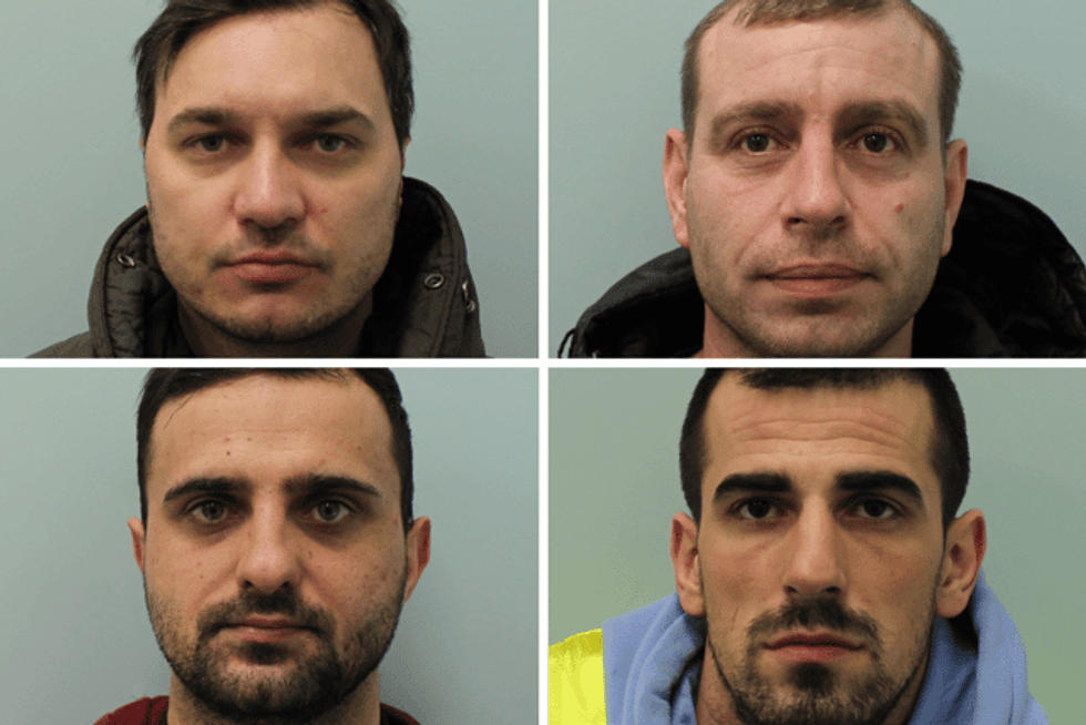 Cocaine Bananas Mugshots