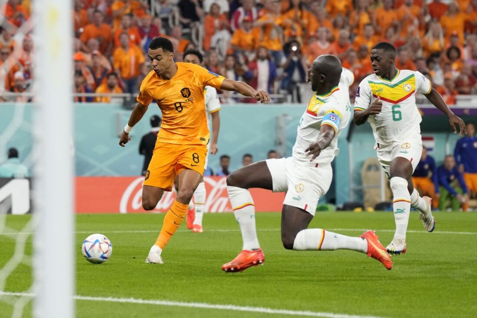 Cody Gakpo tegen Senegal