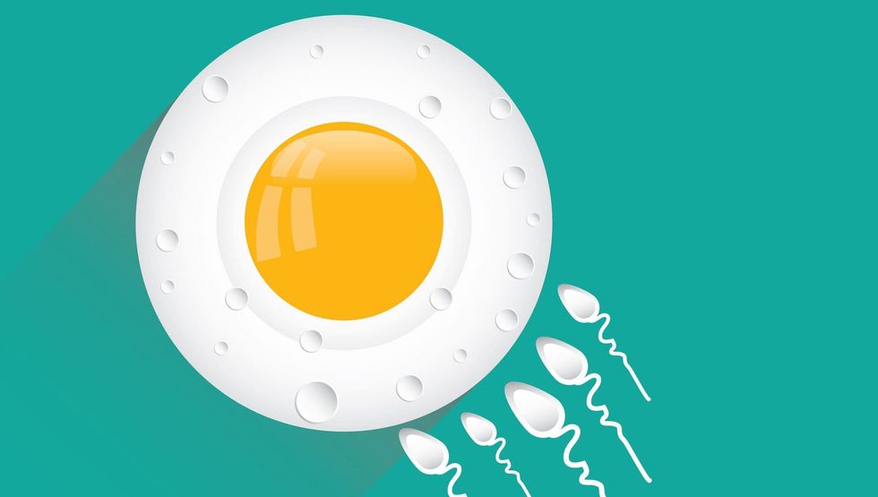 Colorful sperm fertilizing egg illustration shutterstock 220511749 e1694070048465