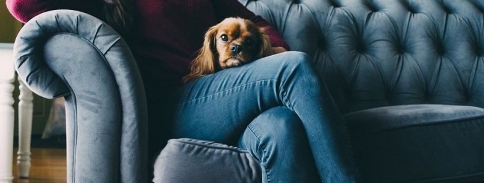 companions2 nmuwqzbnuad3ya22d2s8c1gukjcknhpzss1zi8l2uw