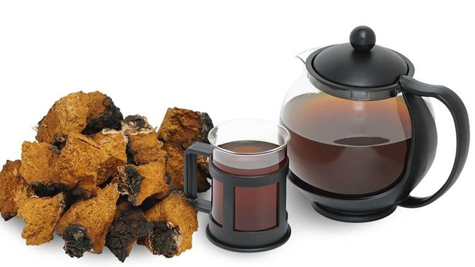 consuming chaga