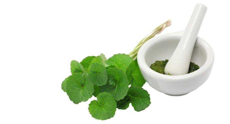 Copy of Copy of Copy of Untitled 1 2048x