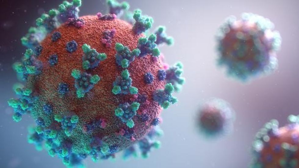 coronavirus banner 1