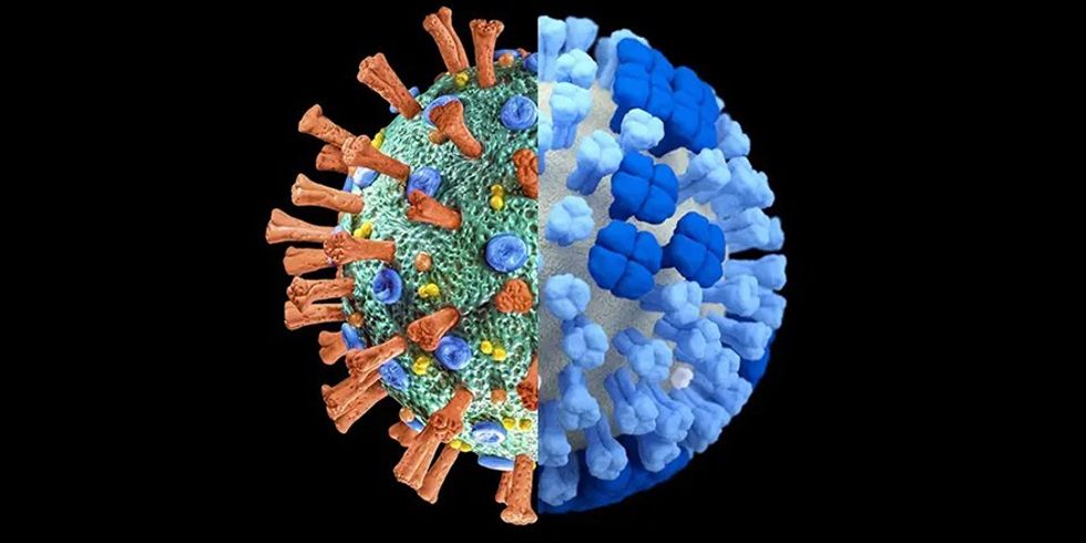 COVID vs FLU Social Image