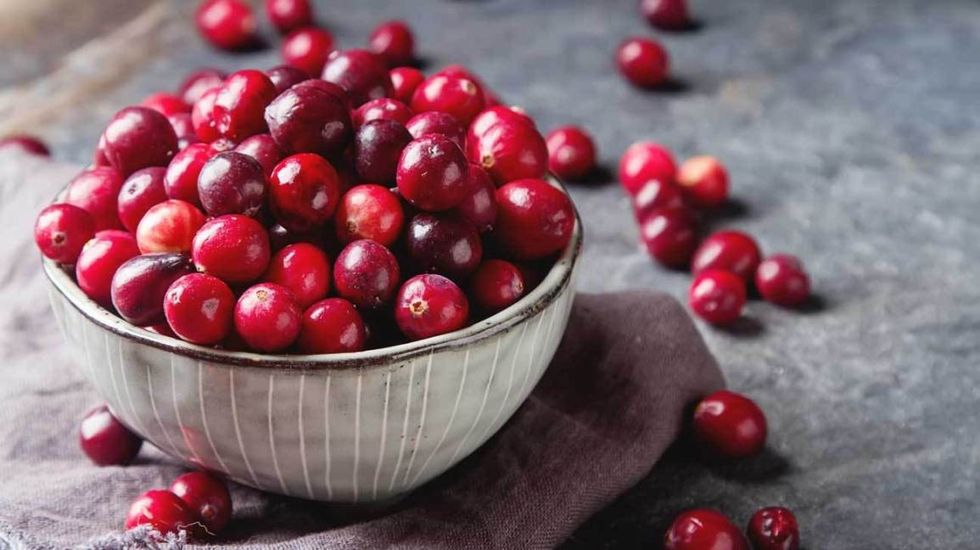 cranberries 101 feature