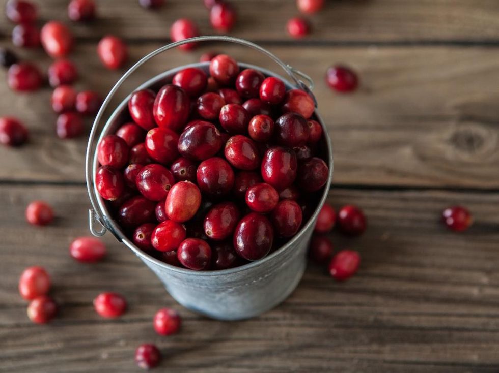 cranberries in a bucket