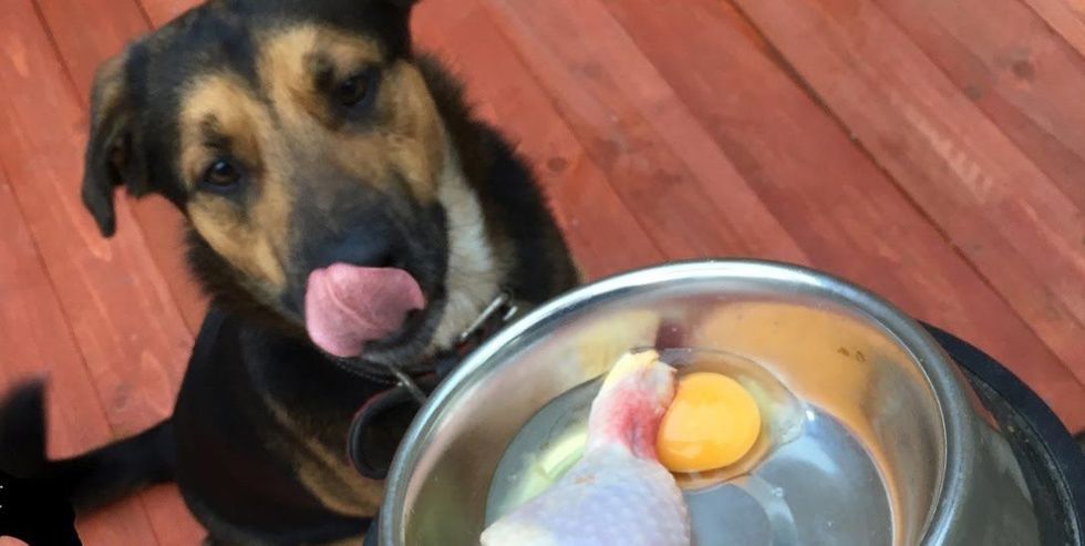 d052da955a26b333b6f996284cf5233a