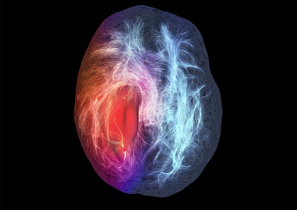 d41586 018 05104 1 15741970