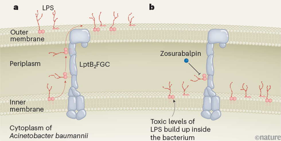 d41586 023 03988 2 26555198