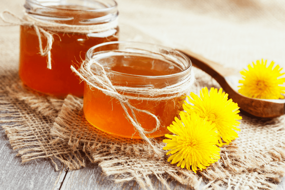 dandelion jelly 1 1