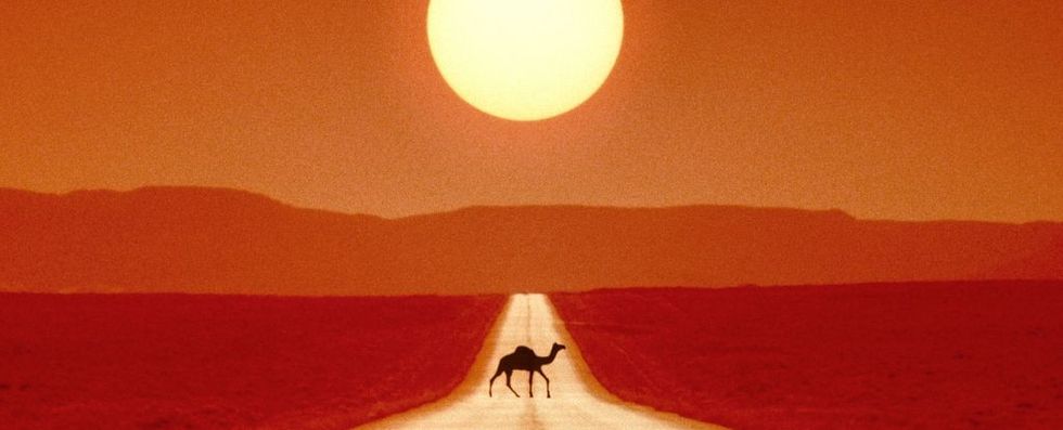 DangerouslyHighTemperatures