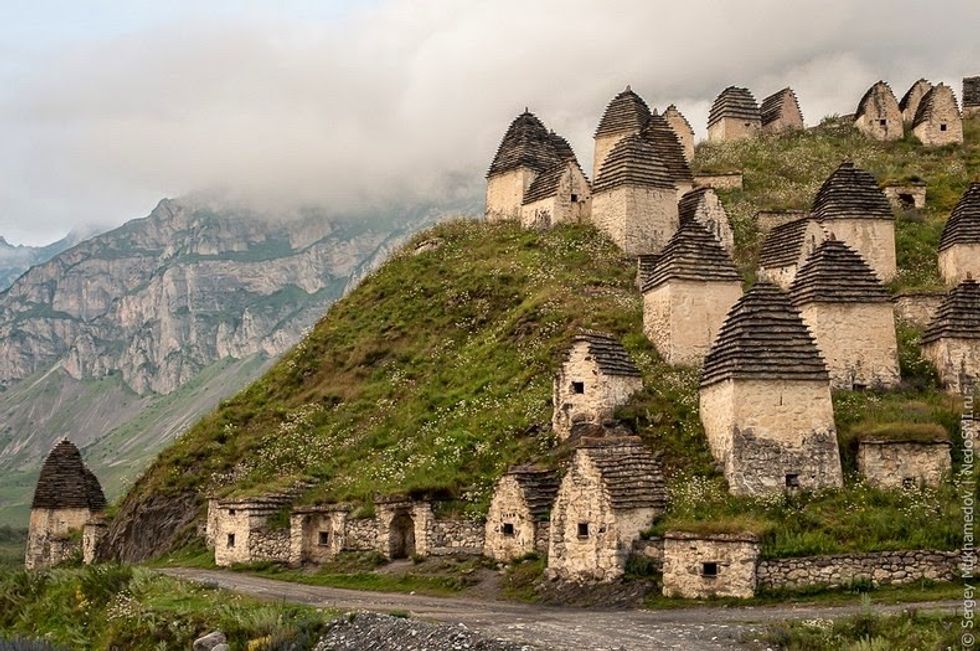 dargavs8