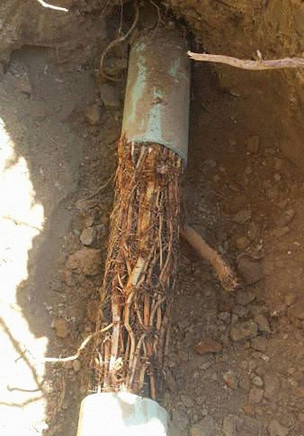 dc13e47c c0de 48b6 93ba d97687ffa721