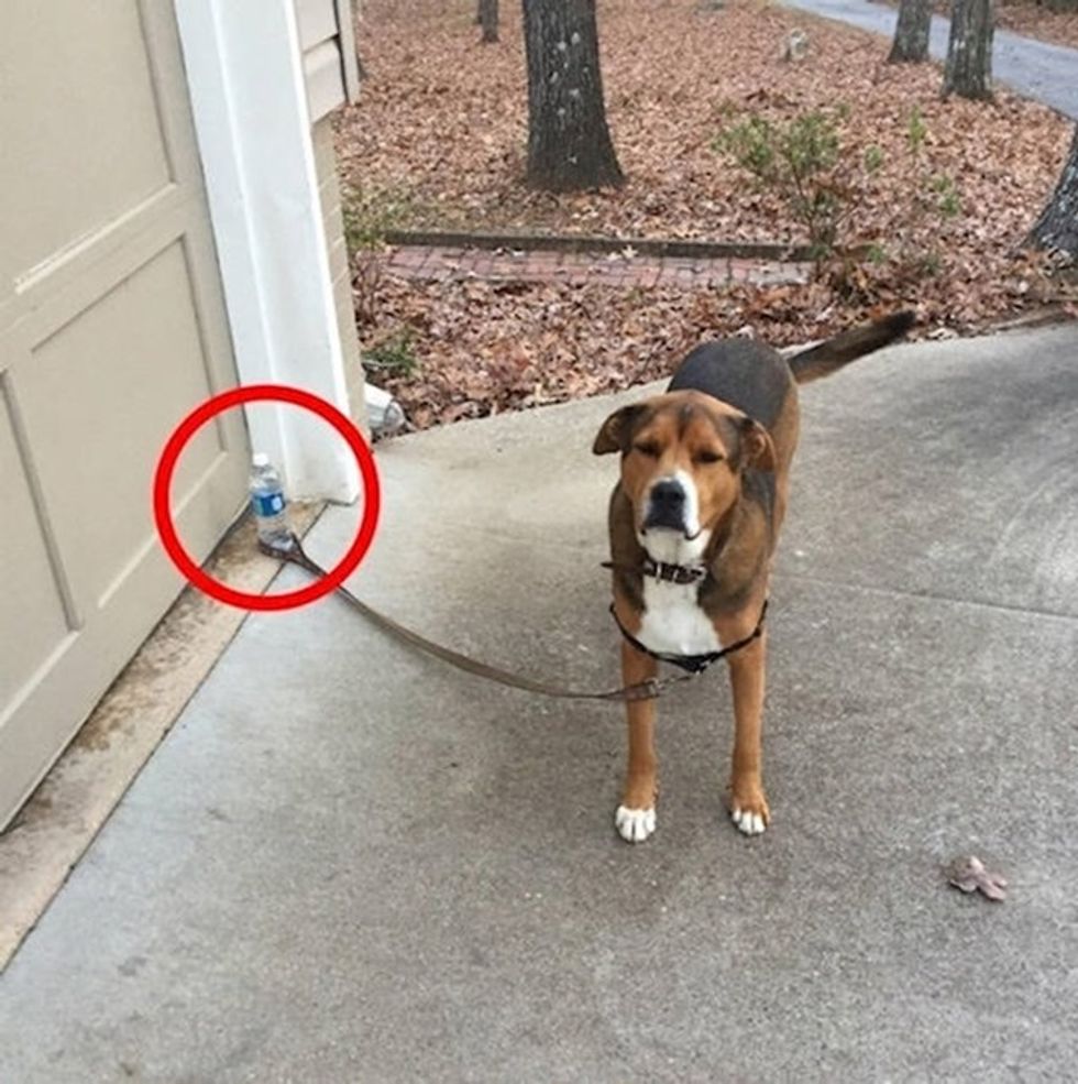 dc807cce 428c 404c 8441 03b8fa6057c8