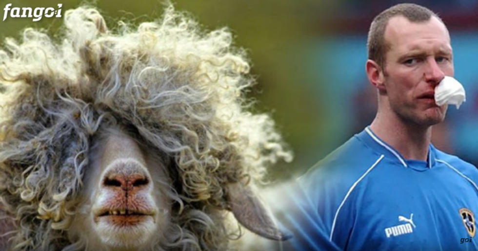 dd03273a950729d8 800