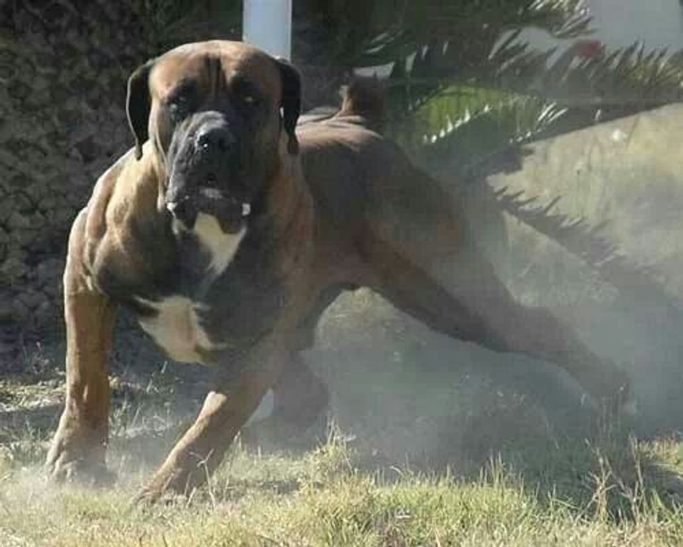 dea1d3ac29c985fc3b55532badaf7e68