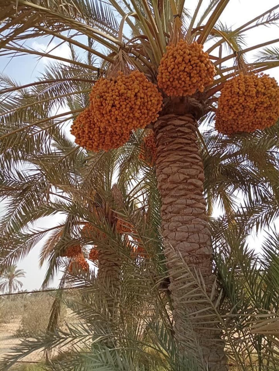 deadef09 9cf2 4b71 bb74 eb657111a51b