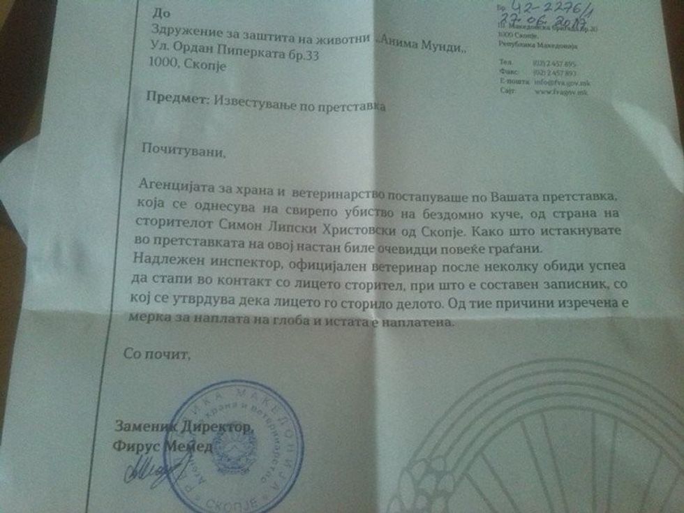 denimi per qenin me gjak