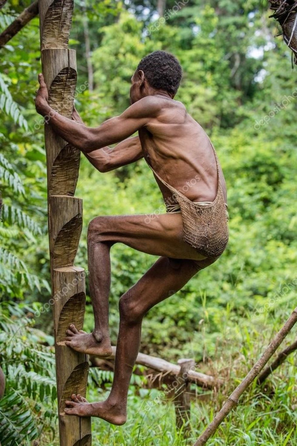depositphotos 122913592 stock photo papuan of korowai tribe climbs