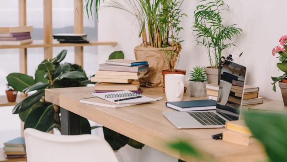 Depositphotos 195253926 m 2015 e1543472968786