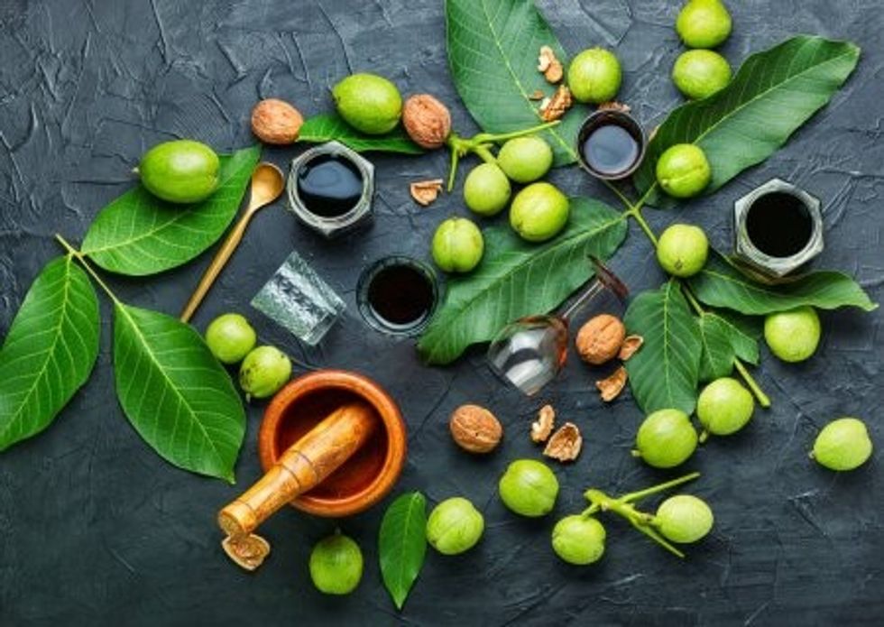 depositphotos 395384574 stock photo healing tincture unripe walnut green
