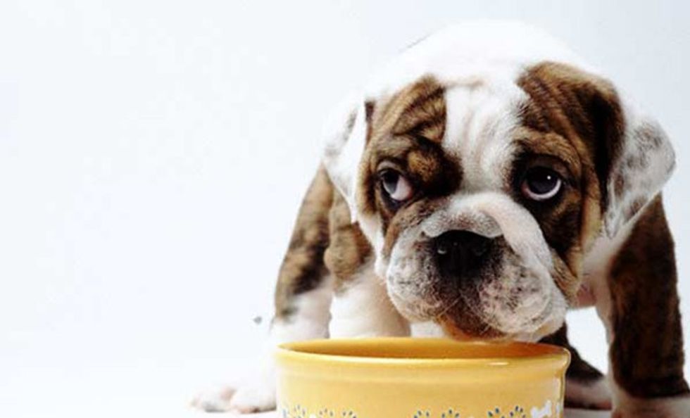 Depositphotos 7172678 original