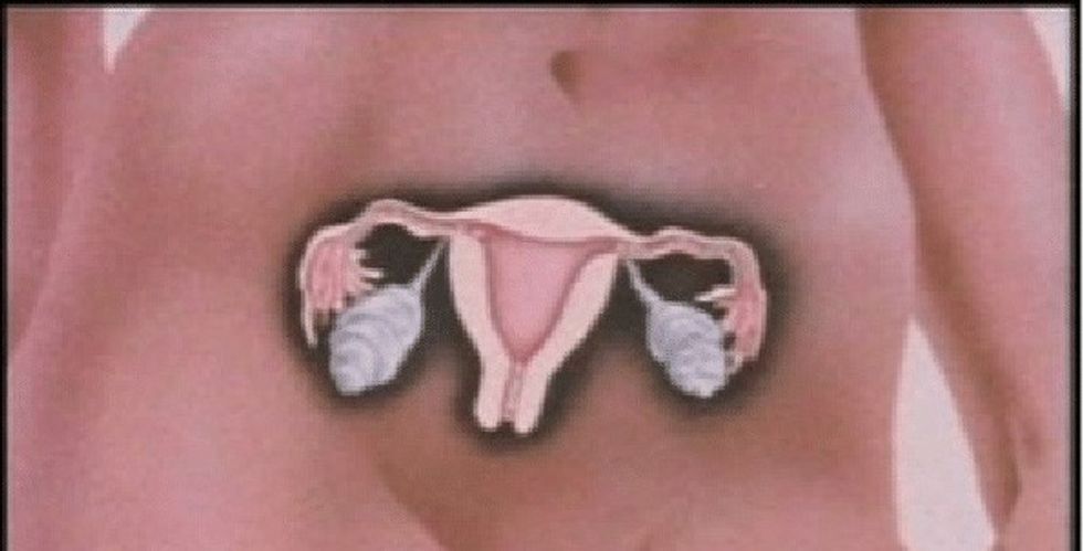 Diagram of the female reproductive