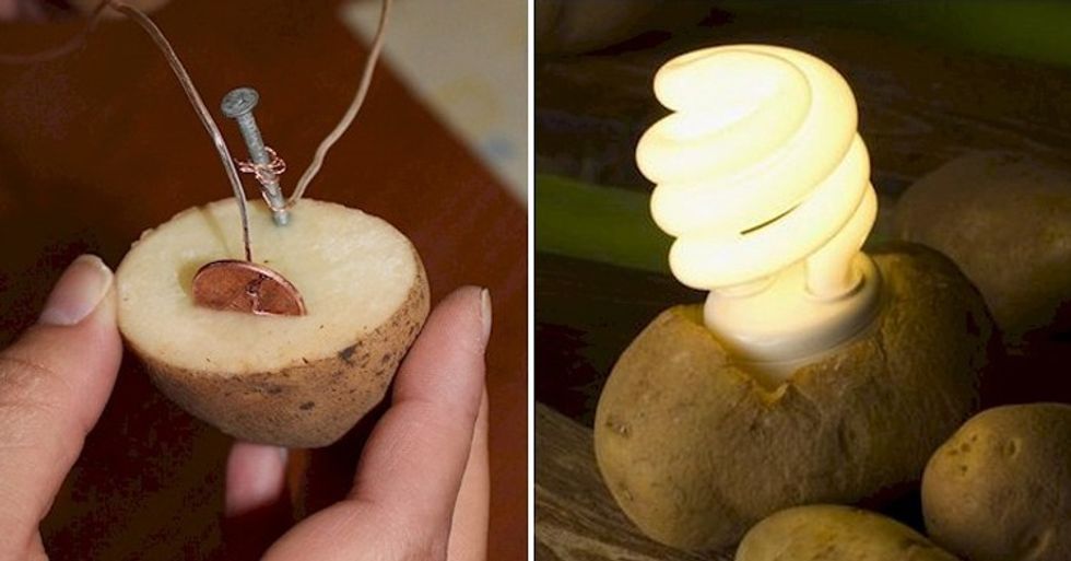did you know that a potato can produce electricity