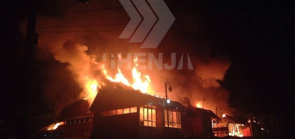 Digjet kopshti 8 marsi ne Shuto Orizare