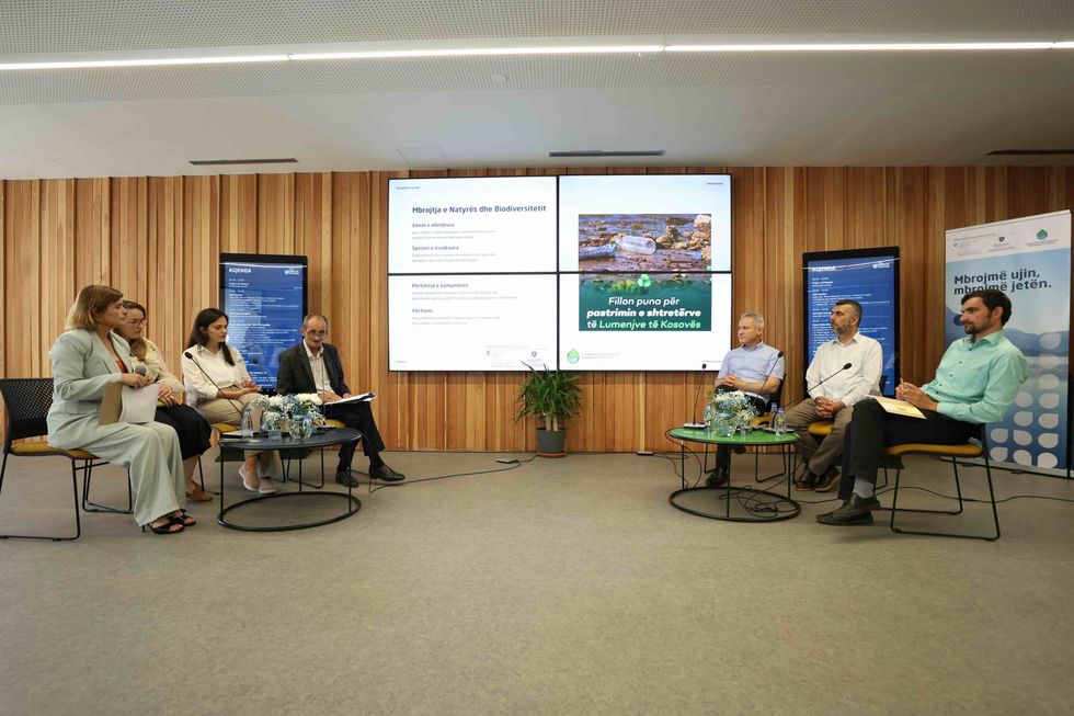 Dita Boterore e Mjedisit Panel scaled