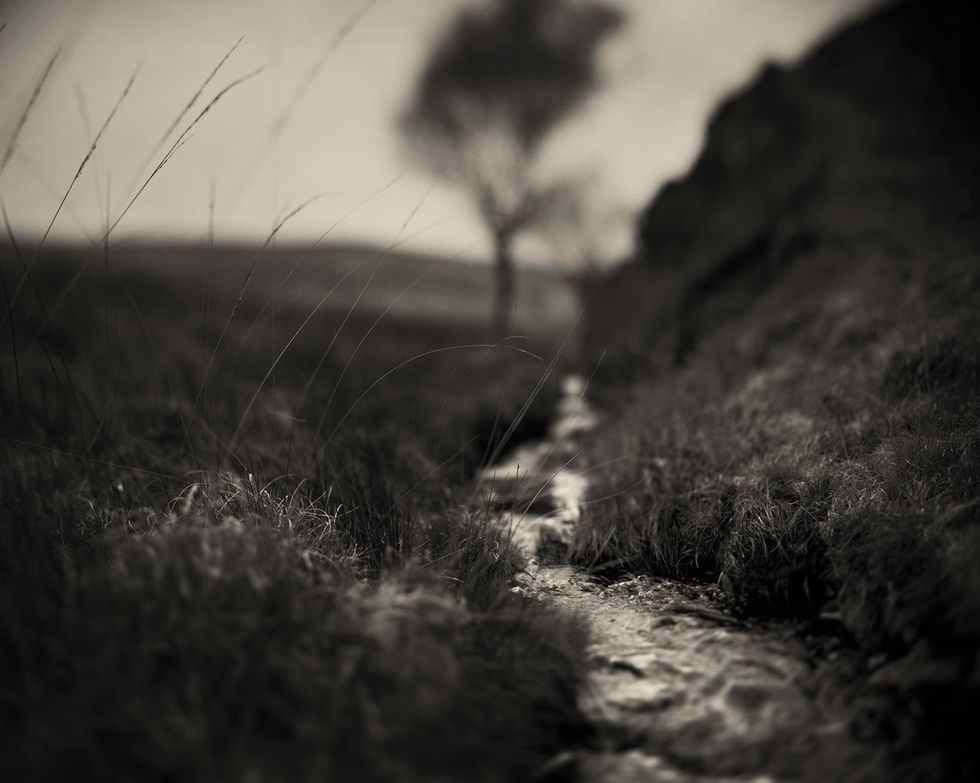 I vetmi rrezik këtu janë gjarpërinjtë: Vendi ku George Orwelli shkroi veprën “1984”