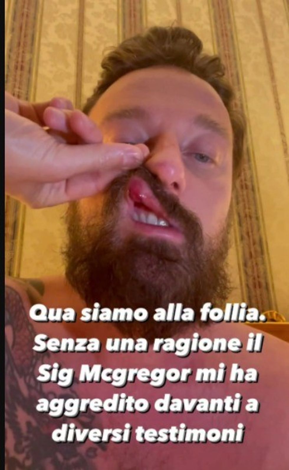 Dj grushtohet nga McGregor