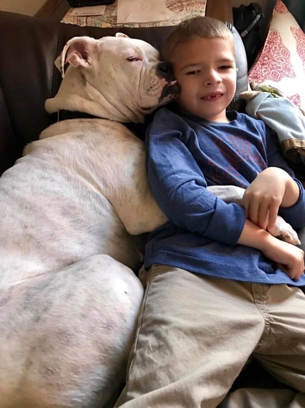 Djaloshi që nuk ka aftësi të flet krijon lidhje te veçante me qenin e shurdher foto 2