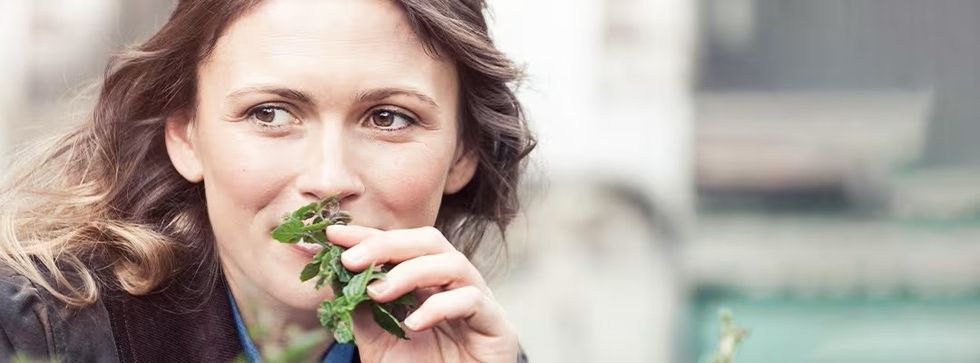 does mint help you focus lead