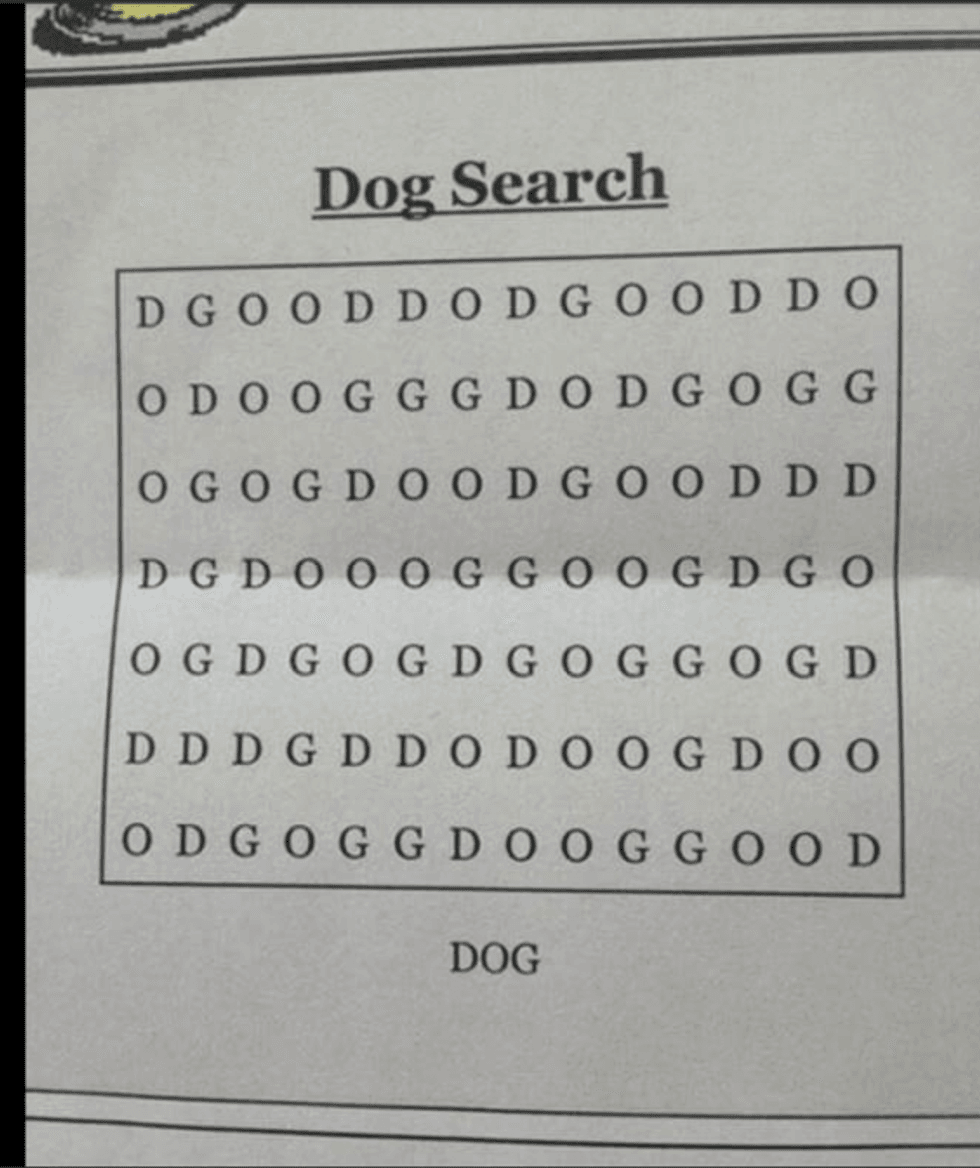 dogsearch